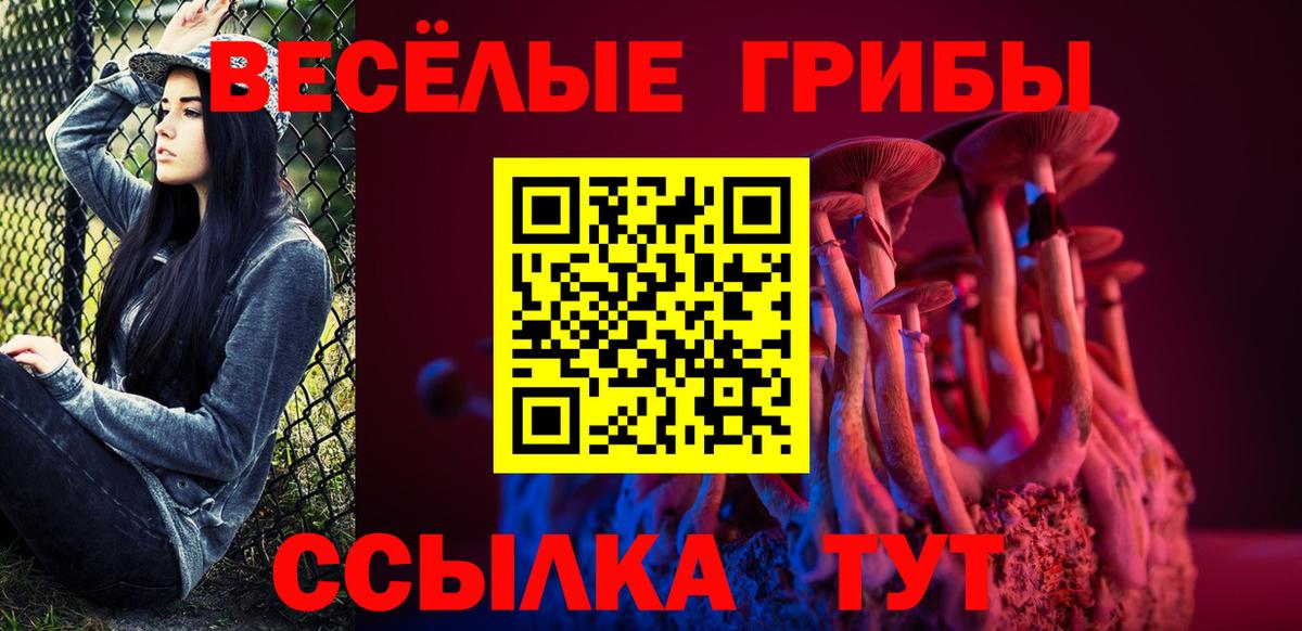 купить   Вход с VPN  Новороссийск  Псилоцибиновые грибы Magic Shrooms 