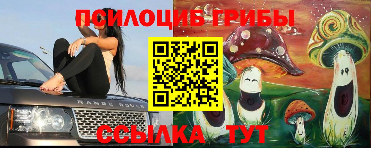 Галлюциногенные грибы ЛСД Новороссийск