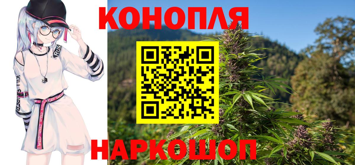 Конопля White Widow  Марихуана план  Марихуана White Widow  Вход с VPN  Новороссийск 