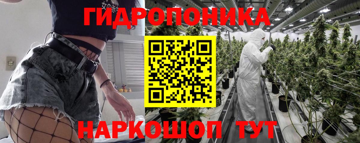 Марихуана планчик Новороссийск
